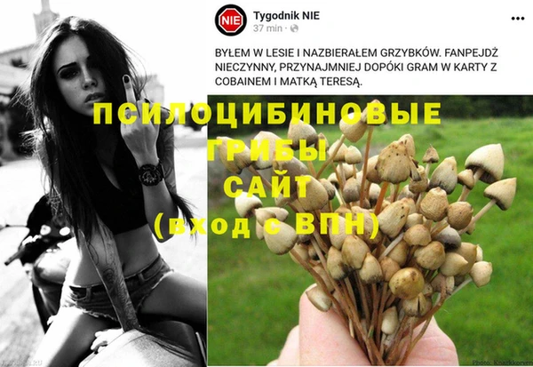 метадон Гусь-Хрустальный