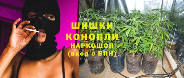 крисы Арсеньев
