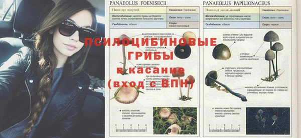 крисы Арсеньев