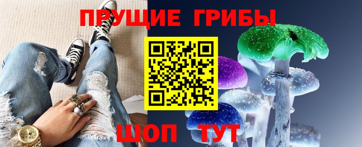 Кулебаки  продажа наркотиков  Вход с VPN  Галлюциногенные грибы Cubensis 