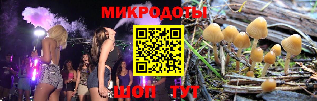 Галлюциногенные грибы Psilocybine cubensis Кулебаки