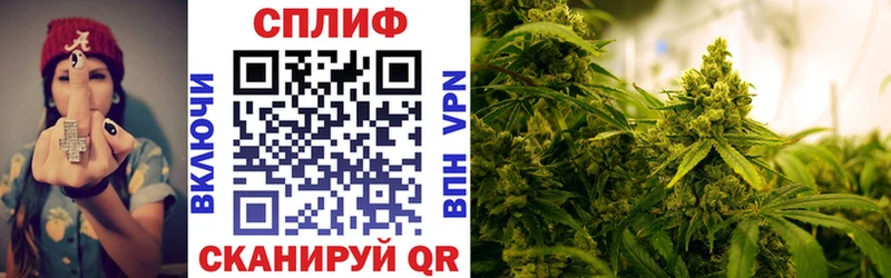 mega tor  Кулебаки  МАРИХУАНА сатива 